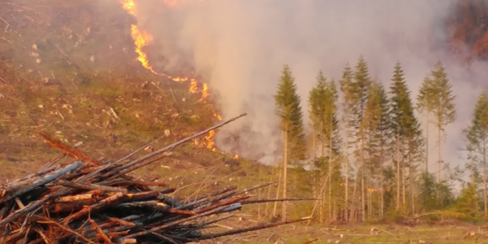 A small fire burns up a hill behind a small stand of trees.