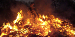 Closeup of branches burning in the dark.