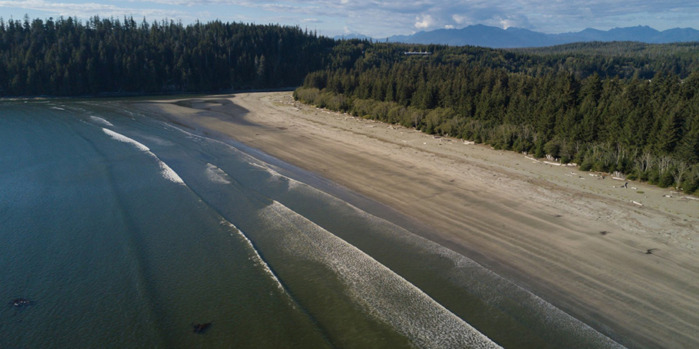An aerial view of the sandy beach at Pachena Bay on a sunny afternoon.
