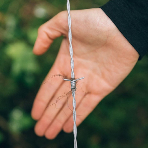 A hand behind a snag of bear hair on a bit of barbed wire.