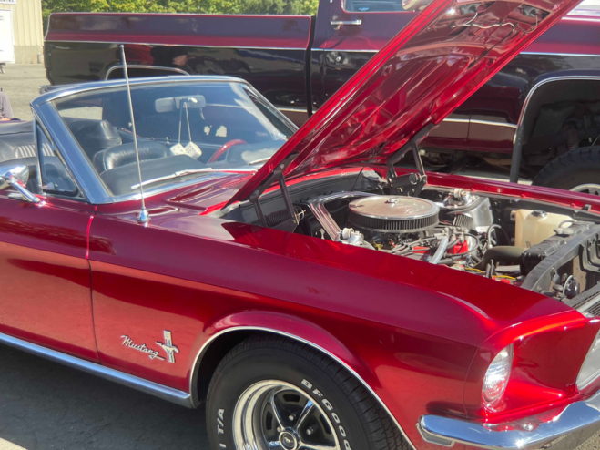 An old red Mustang parked with its hood propped up.