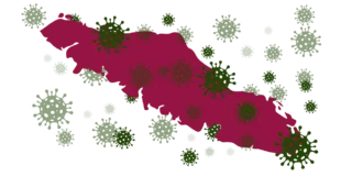 An outline of Vancouver Island in dark red with lots of green COVID molecules scattered over it.
