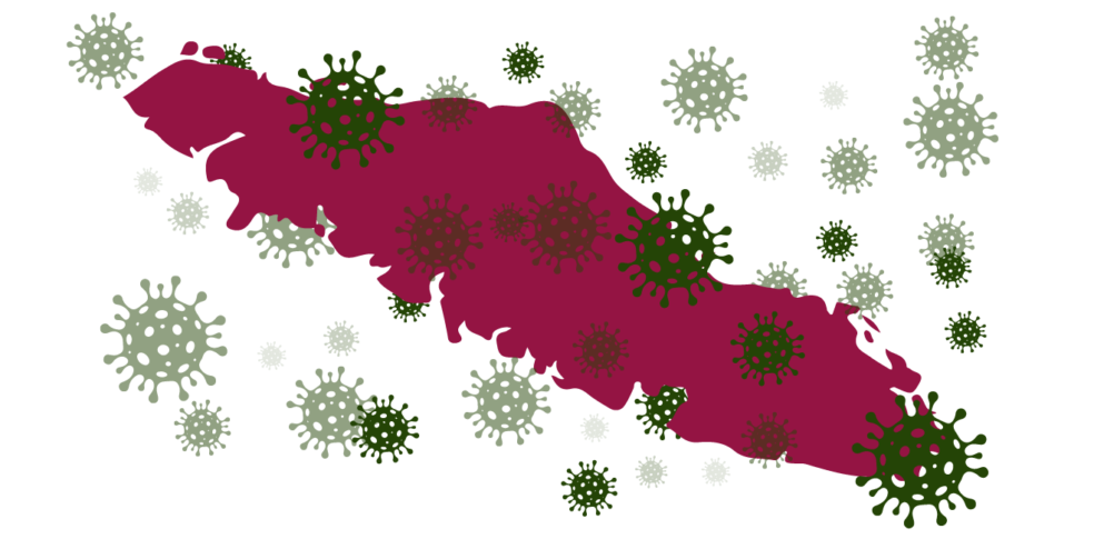 An outline of Vancouver Island in dark red with lots of green COVID molecules scattered over it.