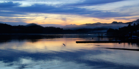 Morning-in-Port-Hardy-Wendy-Dubeau-feature-crop