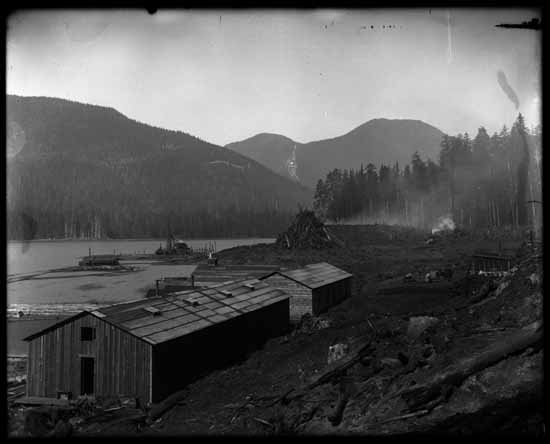 A black-and-white photo of Port Alice. There are some structures built and piles of logs where the land has been cleared.