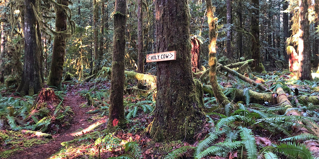 What We Love: Holy Cow Trail | VanIsle.News