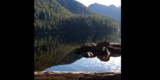 A picture of a lake with some logs floating in it. The sun is shining and there are forested mountains in the background.