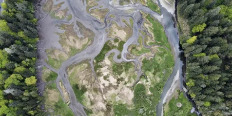 Eagles eye view of goldstream estuary