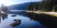 The Comox Valley Reservoir on a misty summer morning.