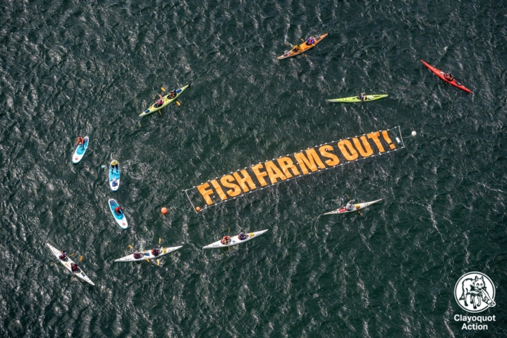 Kayaks circle a big floating sign that reads "FISH FARMS OUT!"