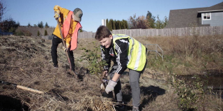 Junior Streamkeepers in bright jackets plant native plants on a sunny November day.