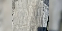 A handwritten note that was buried in a bottle in the beach for more than 50 years.