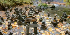 Amanda5805 | Trip Advisor