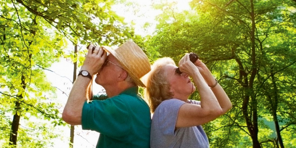 Two folks stand back to back with binoculars in the woods.