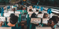 bus