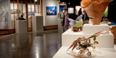 Sooke Fine Arts Society | Facebook