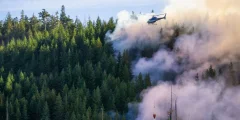 Fire Season