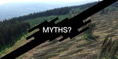 Industiral Forestry Myths